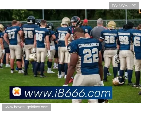 7M体育平台多设备同步登录支持，随时随地畅享高清体育直播与赛事资讯